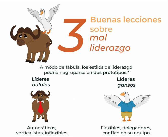 3 buenas lecciones sobre mal liderazgo