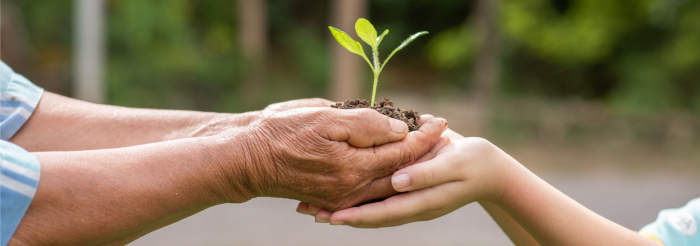 Cuida tus plantas