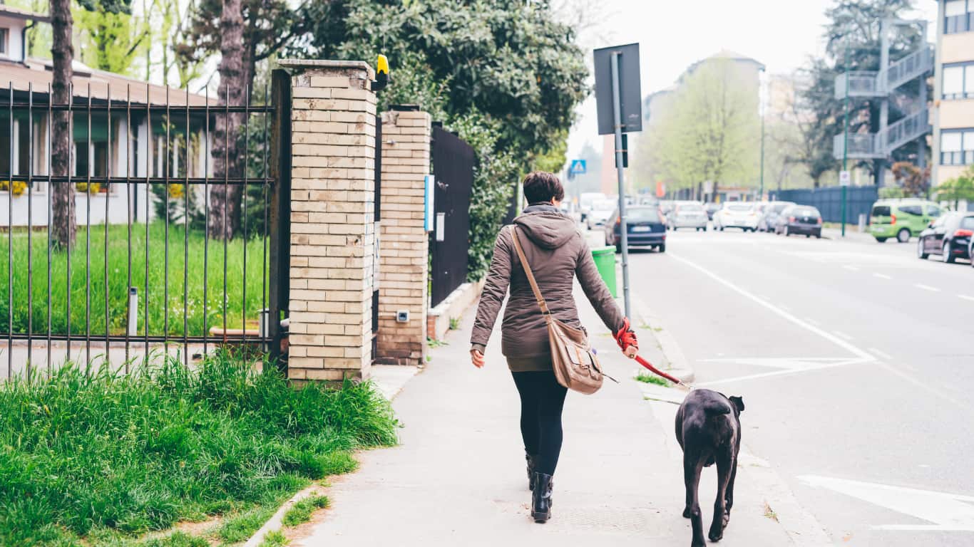 Una mujer caminando por la acera de una calle urbana, sosteniendo la correa de un perro grande, de color negro.