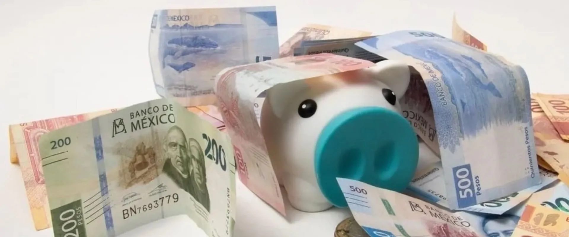 Una alcancía de cerdo blanca rodeada de billetes de diferentes denominaciones de pesos mexicanos, algunos de los cuales están parcialmente enrollados. 