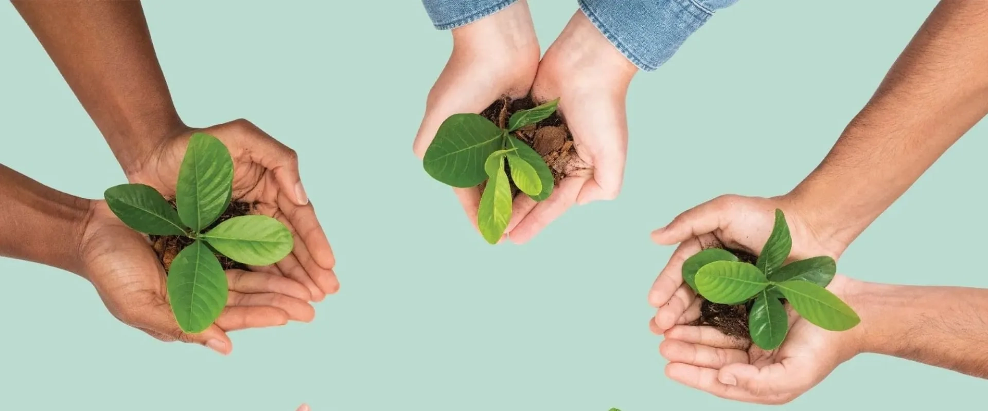 Las manos están dispuestas en un círculo, simbolizando colaboración y cuidado por el medio ambiente. El fondo es de color verde claro.